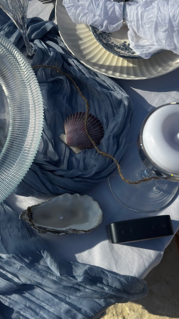 Blue fabric, plates and glassware on a picnic table