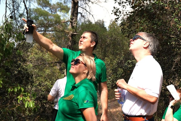 Participants working together on an outdoor team activity