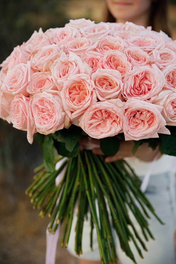 A bouquet of pink roses beside the coastal picnic setting