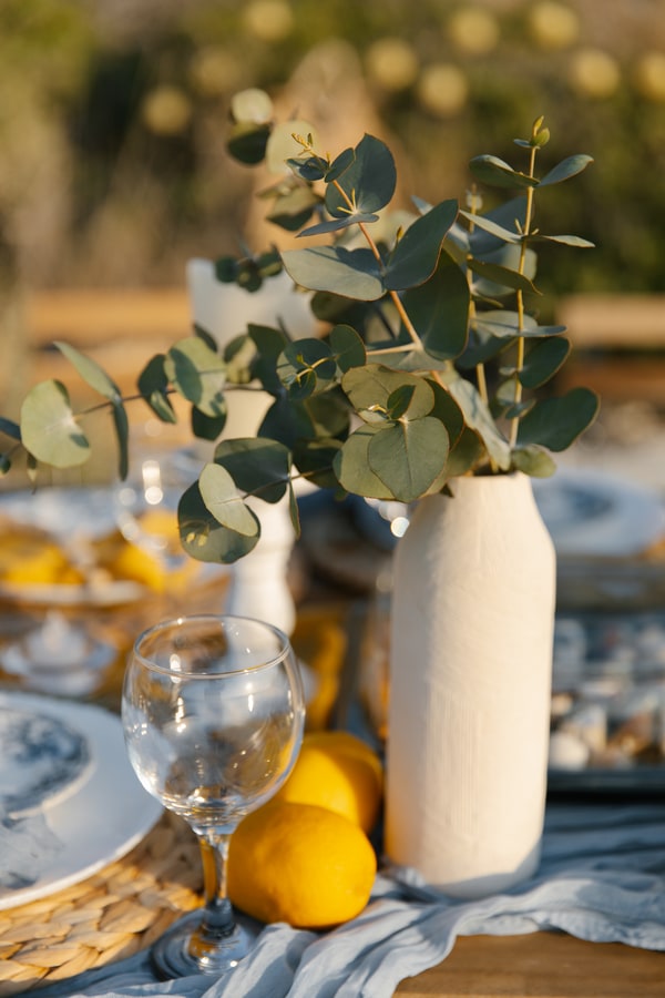 Blue-and-white plates, yellow accents and fruit on a seaside picnic table