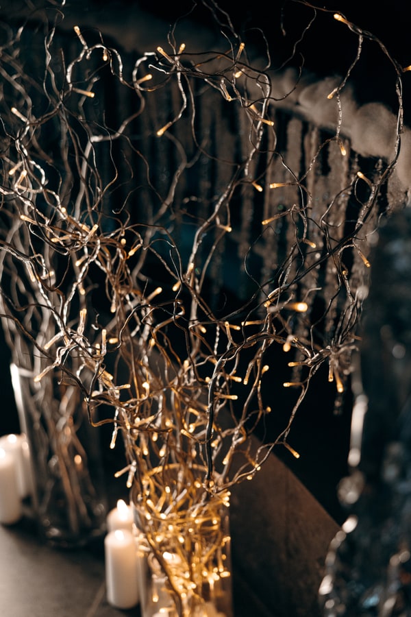 Fairy lights woven through branches