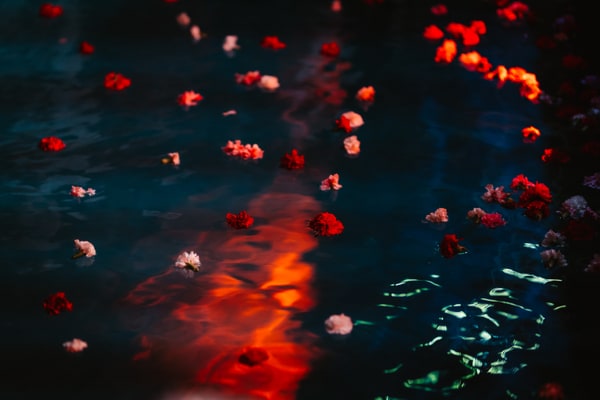 Petals and small flowers floating in the pool